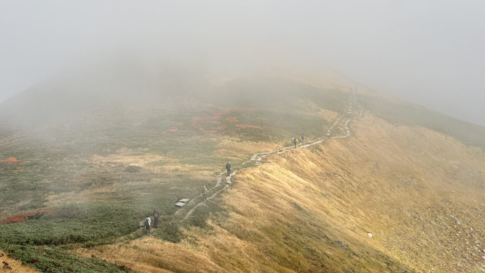 霧に包まれた月山の稜線と登山道
